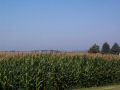 View at the highpoint.jpg